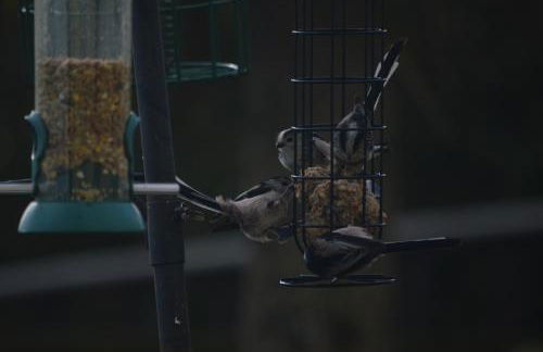 Bumble Bee Cottage - Foto 21