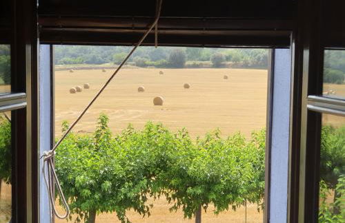 Apartaments Rurals Ai Manyac - Foto 15