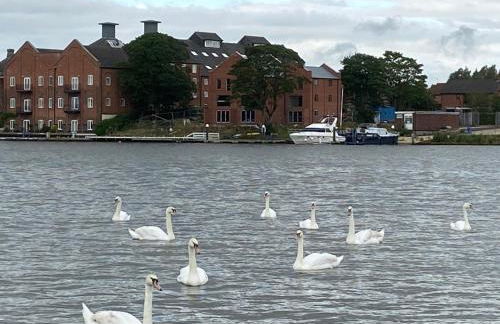 Swan View, Oulton Broad - Foto 10
