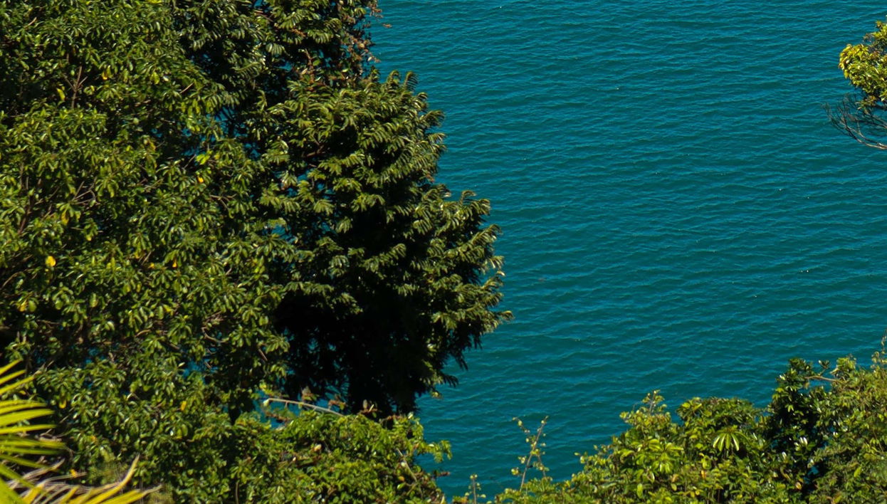 Maresias Beach Hiking Tour - Foto 1