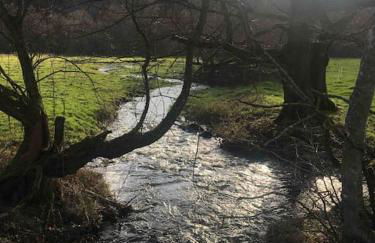 VerOliv Appartement calme et cosy proche du centre ville - Lit 180 - Wifi Netflix Youtube - Foto 29