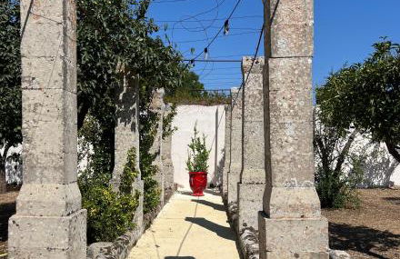 Casa Corte - Palazzo Villani Lubelli - Foto 24