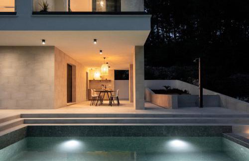 My seagull - Photo 28