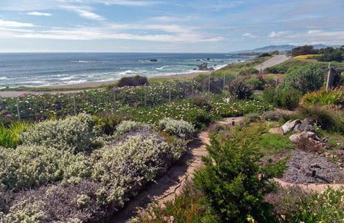 Bodega Bay Magical Ocean Front w/Amazing View! - Foto 26