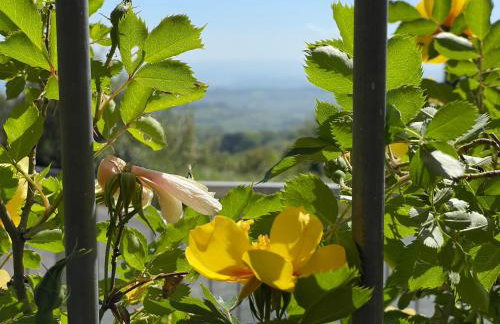 Casa Le Campane sulla Via Francigena - Photo 3