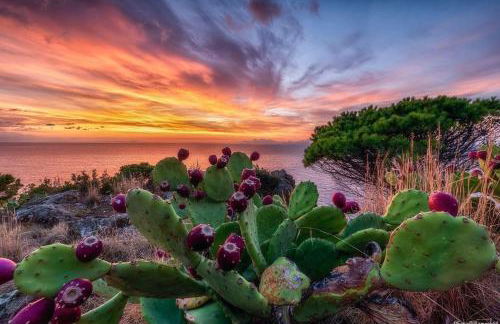 Capraia isola - Foto 11