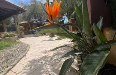 Villa Azzurra Fronte Mare - Foto 6