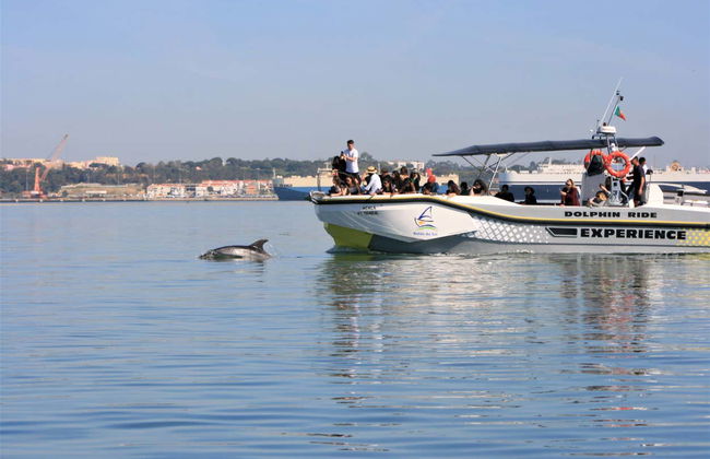 Sado Estuary Dolphin Watching & Arrábida Tour - Photo 2