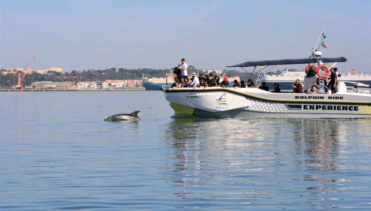 Sailing along the Setubal coastline