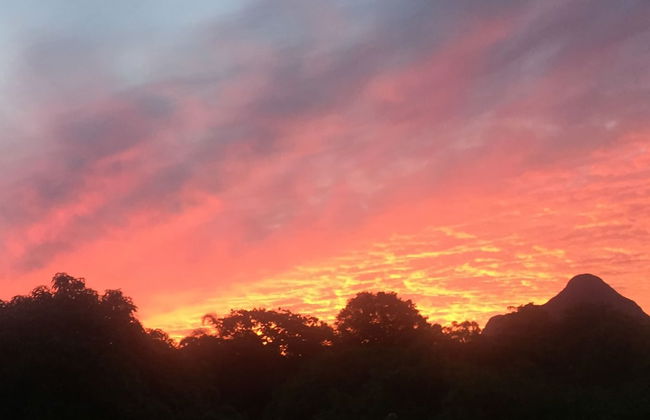 Glass On Glasshouse - Foto 44