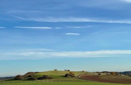 Ferienhaus Vogelsberg - Photo 17