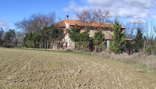 La Huerta de Elisa - Foto 2