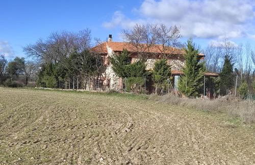 La Huerta de Elisa - Foto 2