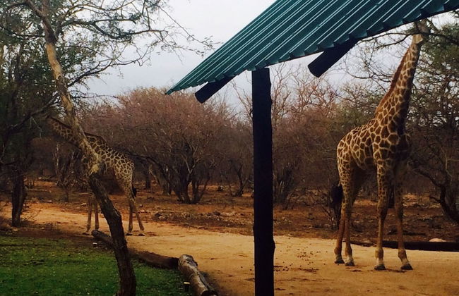 Blyde River Cabin Guesthouse - Foto 29