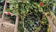 La maisonette Mellona - Foto 5