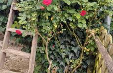 La maisonette Mellona - Foto 5