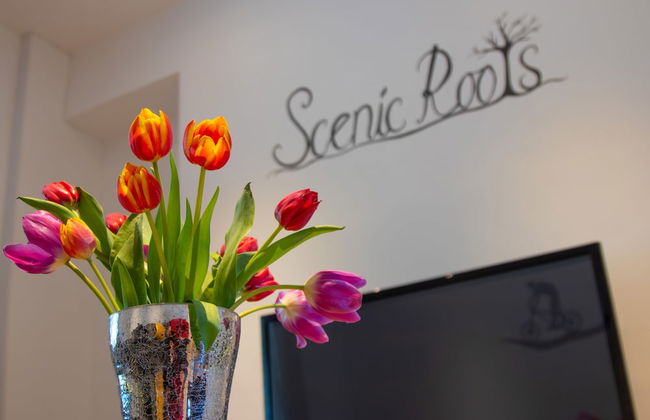 Scenic Roots - Foto 19