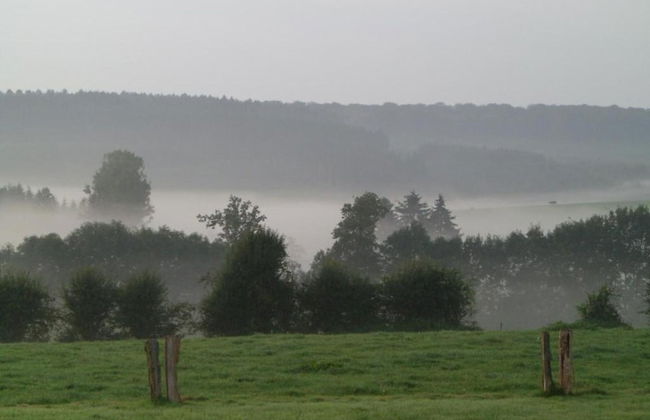 Cottage in Paliseul With Garden - Photo 24