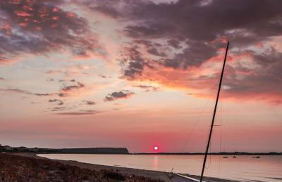 Ale house experience - Foto 48