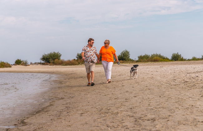 Detached Holiday Home With Garden Near Hoorn - Foto 36