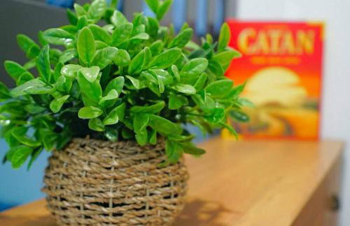 Beautiful Renovated Cozy Forest Home with Hot Tub in Crestline - Foto 51