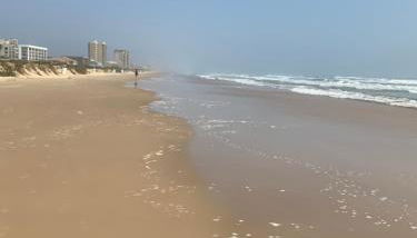 Sea Dancer #9 - Foto 2