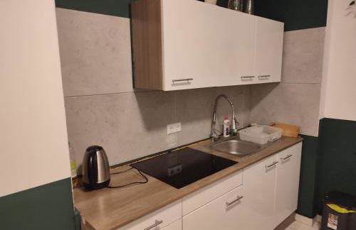 Jungle in Kelkheim for 4 Persons 24 h check in - Photo 16