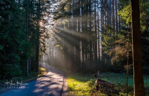 Fewo Sunneschii, Höchenschwand, Dorf am Himmel, Sauna im Haus - Foto 27