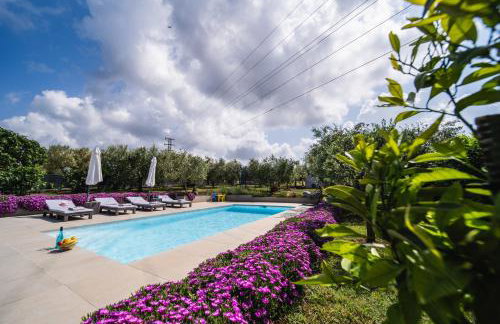 Leonardo House - Foto 34