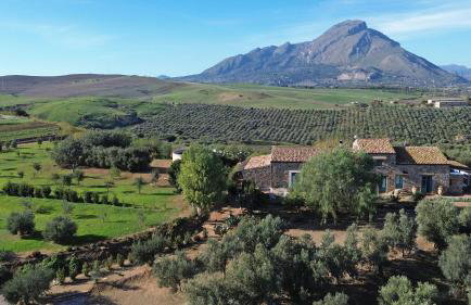 Terre Di Himera - Foto 11