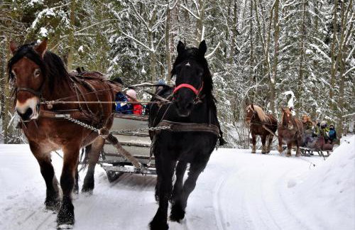 Leśniczówka Wigierskiego Parku Narodowego w Maćkowej Rudzie - Foto 33