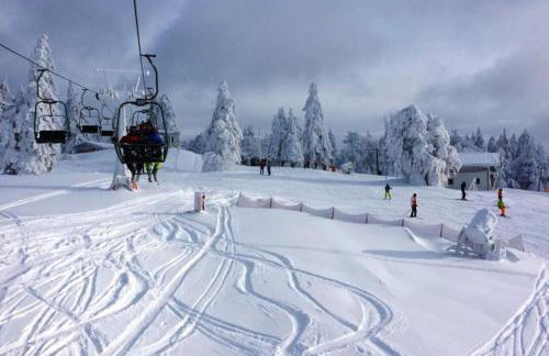 Apartment, 2 bedrooms, kitchen+2 bathrooms - Photo 17