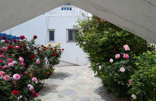 Roula's Studios - Foto 4