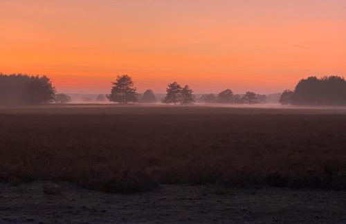 Schwalbennest - Foto 34