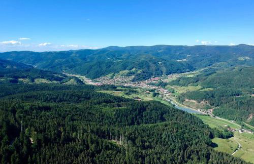 Ferienwohnungen Beilerstädtle - Foto 14