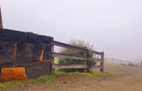 Pousada Flocos de Neve - Photo 29