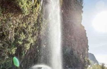 Paradise House - Foto 15