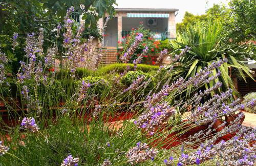 Apartments Basina - Foto 2