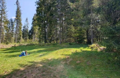 Apartament TatraVika - Photo 42