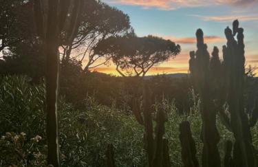 Cap Nioulargo - Photo 12