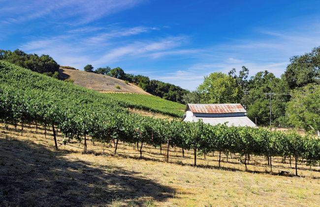 Luxury Wine Country Haven + Vineyard Views Near Top Wineries Adelaida Farmhouse - Foto 50
