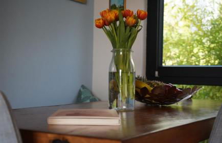 FERIENHAUS am HAINER SEE - Foto 20