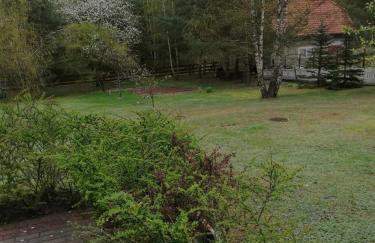 Domek letniskowy Pod brzozami Pszczew - Foto 9