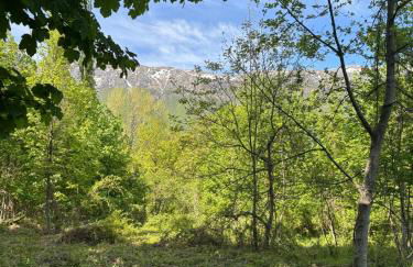 Il Giardino di Sant'Eufemia - Foto 60