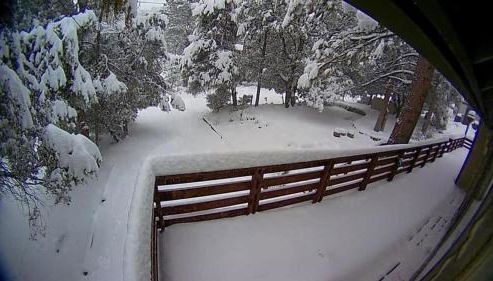 Quail Run Cabin 4,000 Sq.Ft Largest & Most Beautiful House On The Mountain - Foto 4, pet friendly