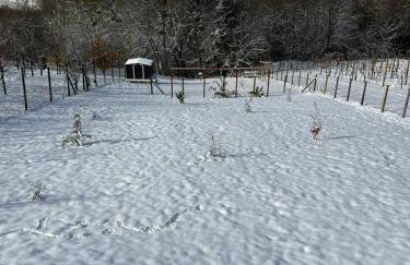 Villa Međimurka - Foto 33