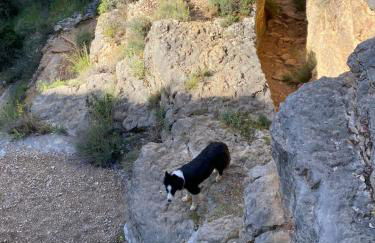 Casa Josefina - Foto 66