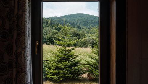 Dom Malowany domki - Foto 5