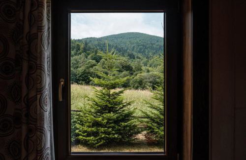 Dom Malowany domki - Foto 5