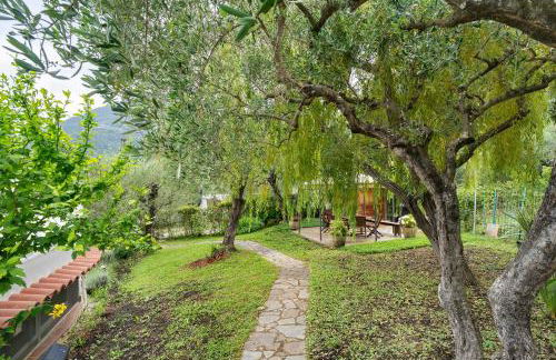 Salice Felice - Foto 24